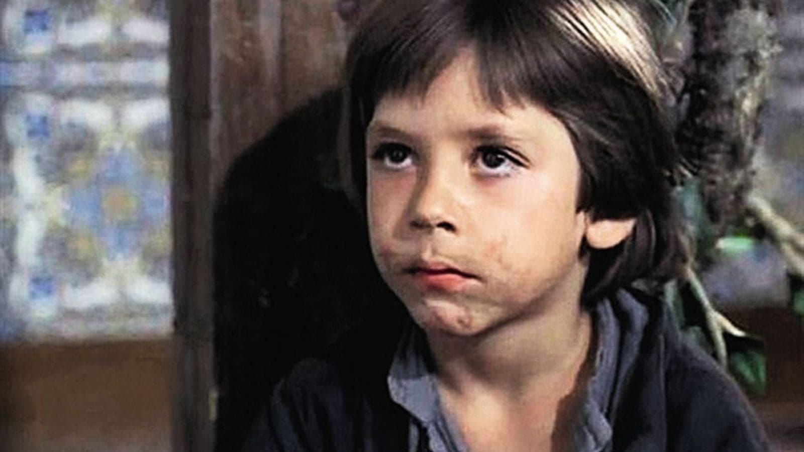 De la sombra del apellido al estrellato global: El actor que conquistó Hollywood y el respeto del mundo