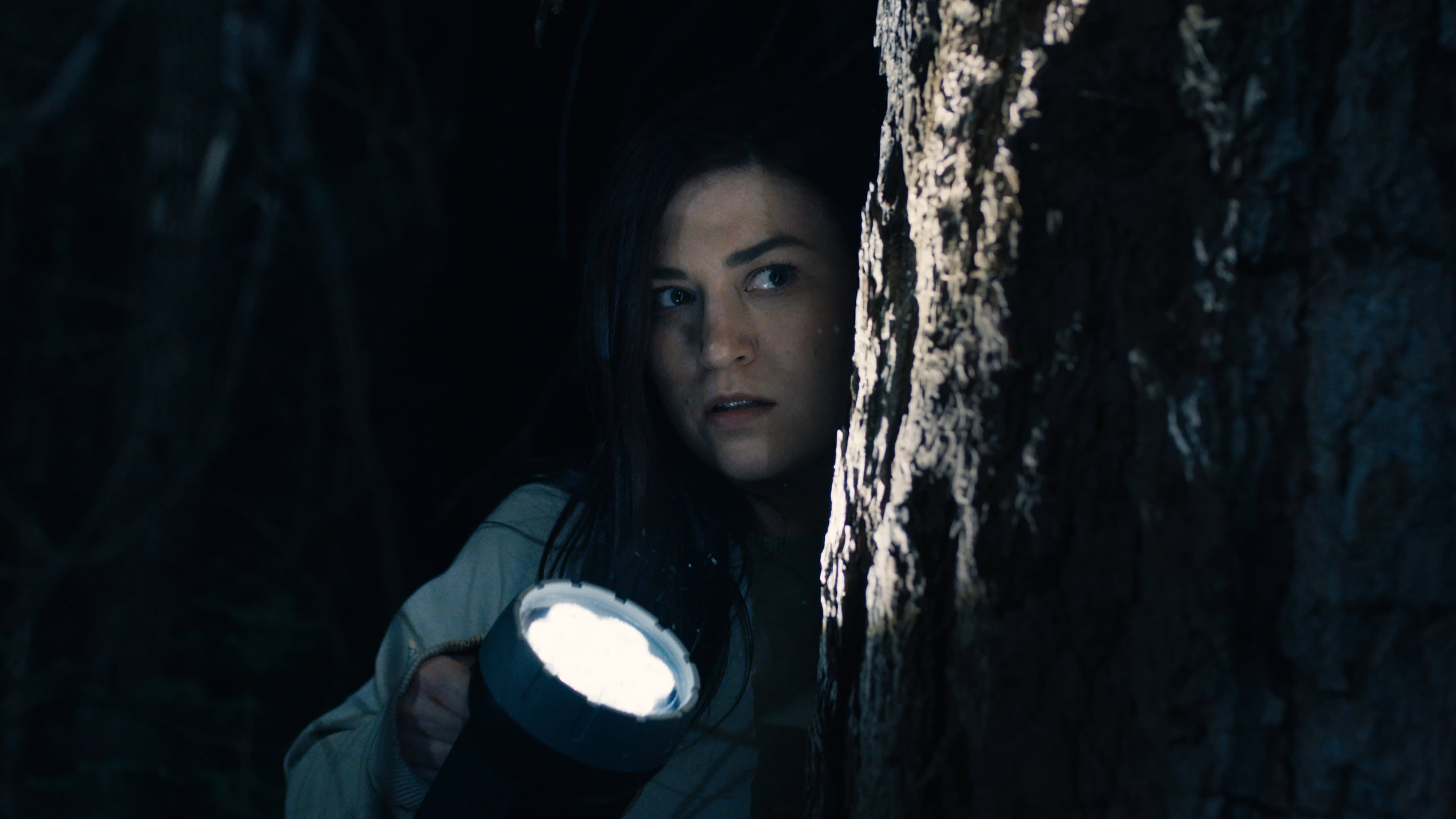 Póster oficial de la película Un Extraño en el Bosque en alta calidad HD 4K