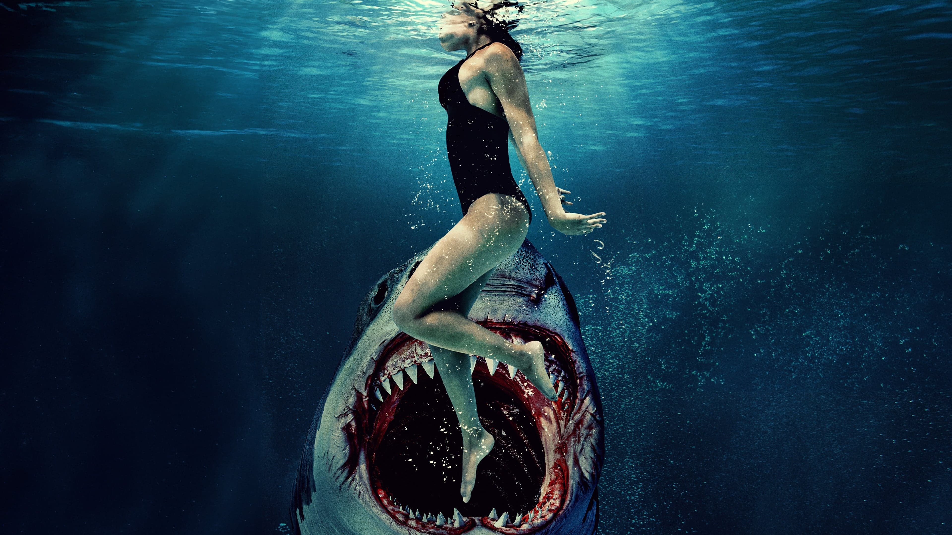 Póster oficial de la película Carnada en alta calidad HD 4K