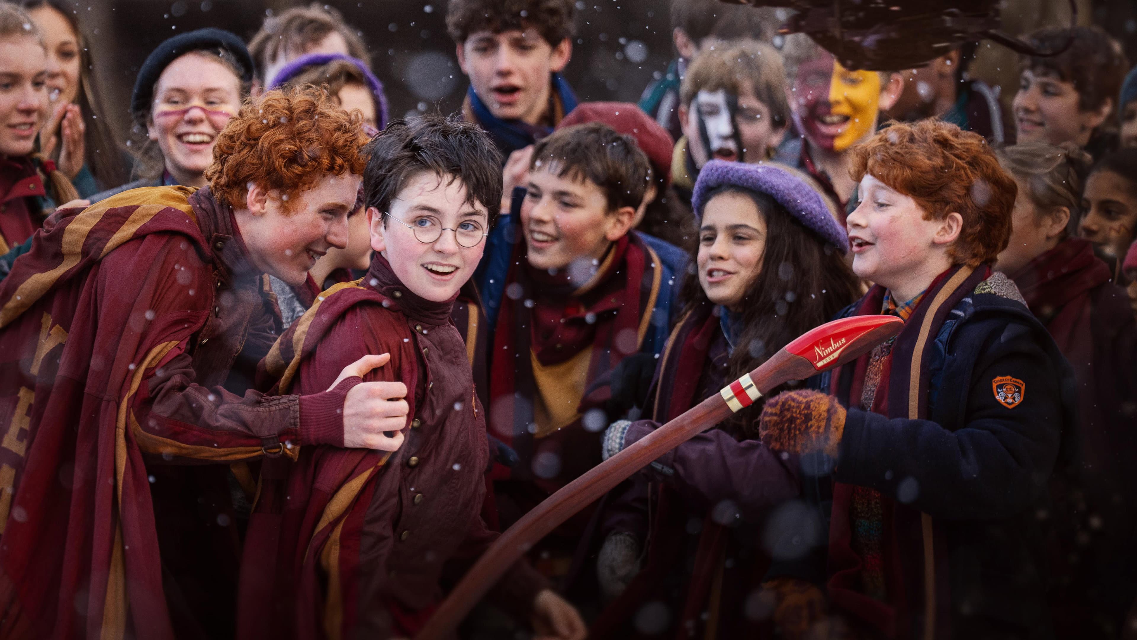 Póster oficial de la película En busca de Harry: El arte detrás de la magia en alta calidad HD 4K