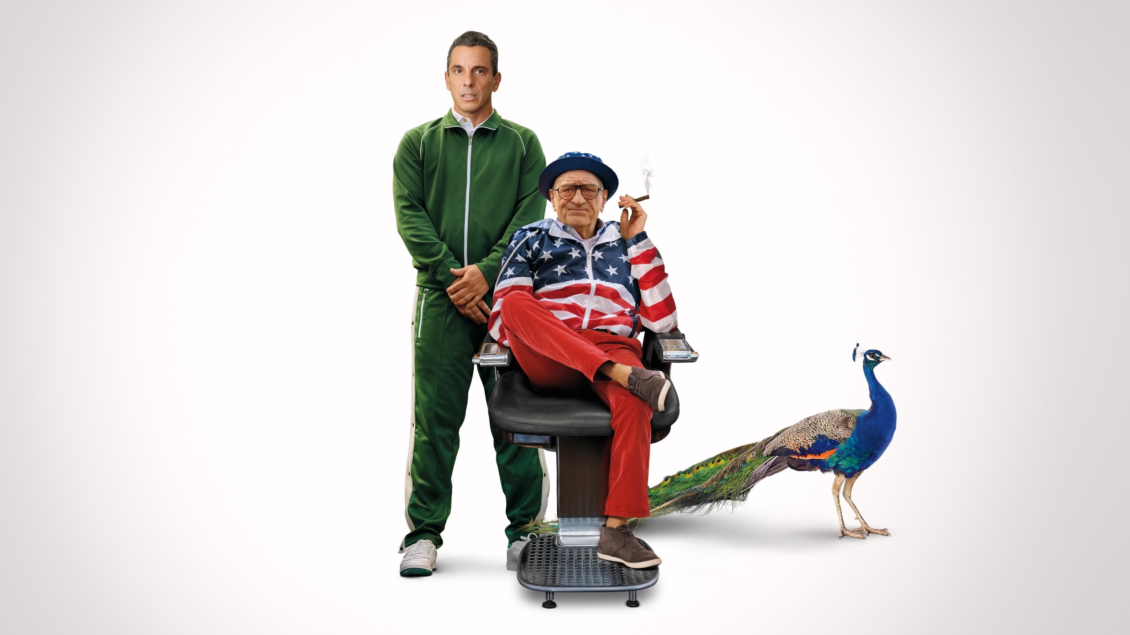 Póster oficial de la película Todo sobre mi padre en alta calidad HD 4K