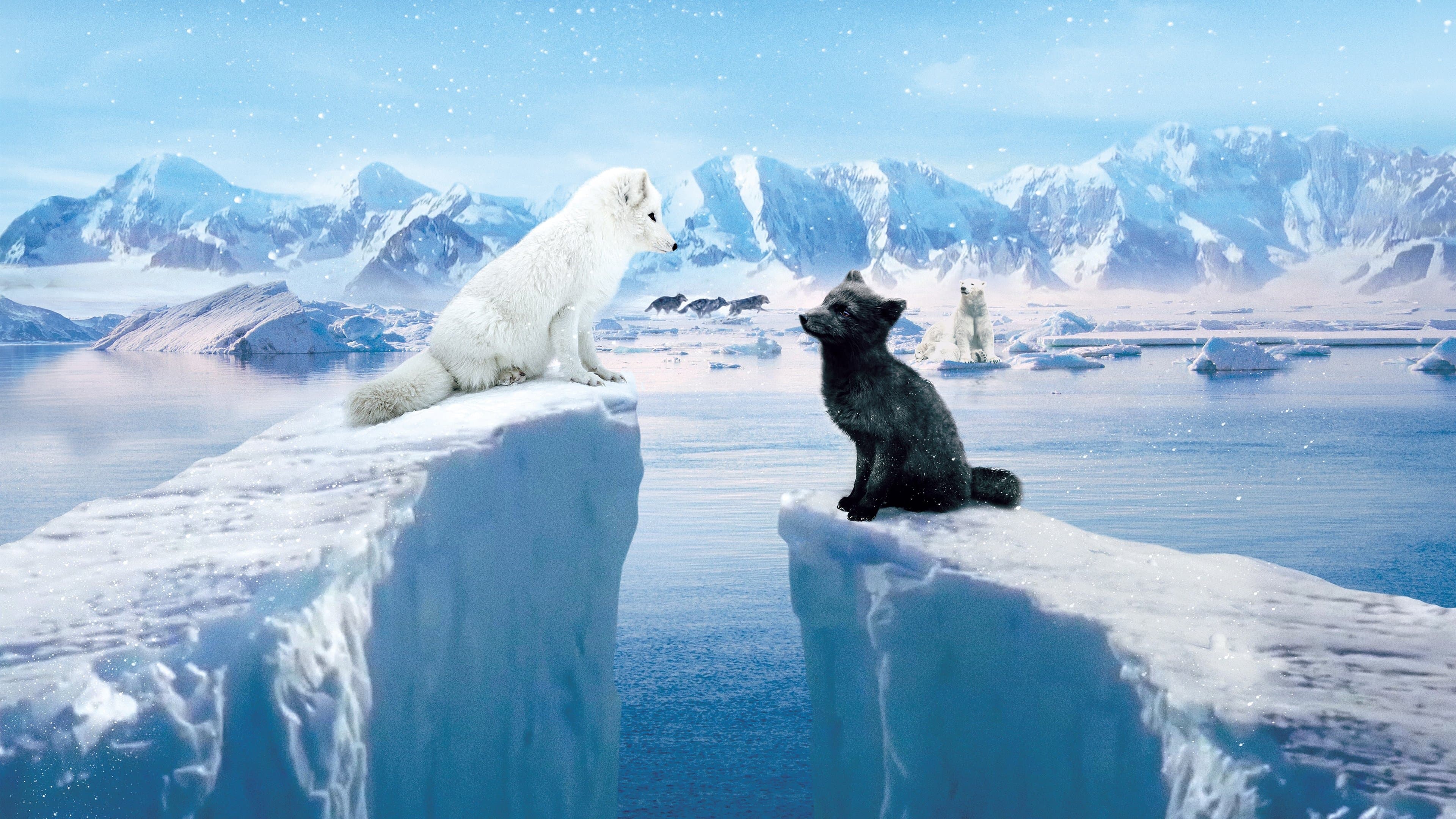 Póster oficial de la película Kina & Yuk en alta calidad HD 4K