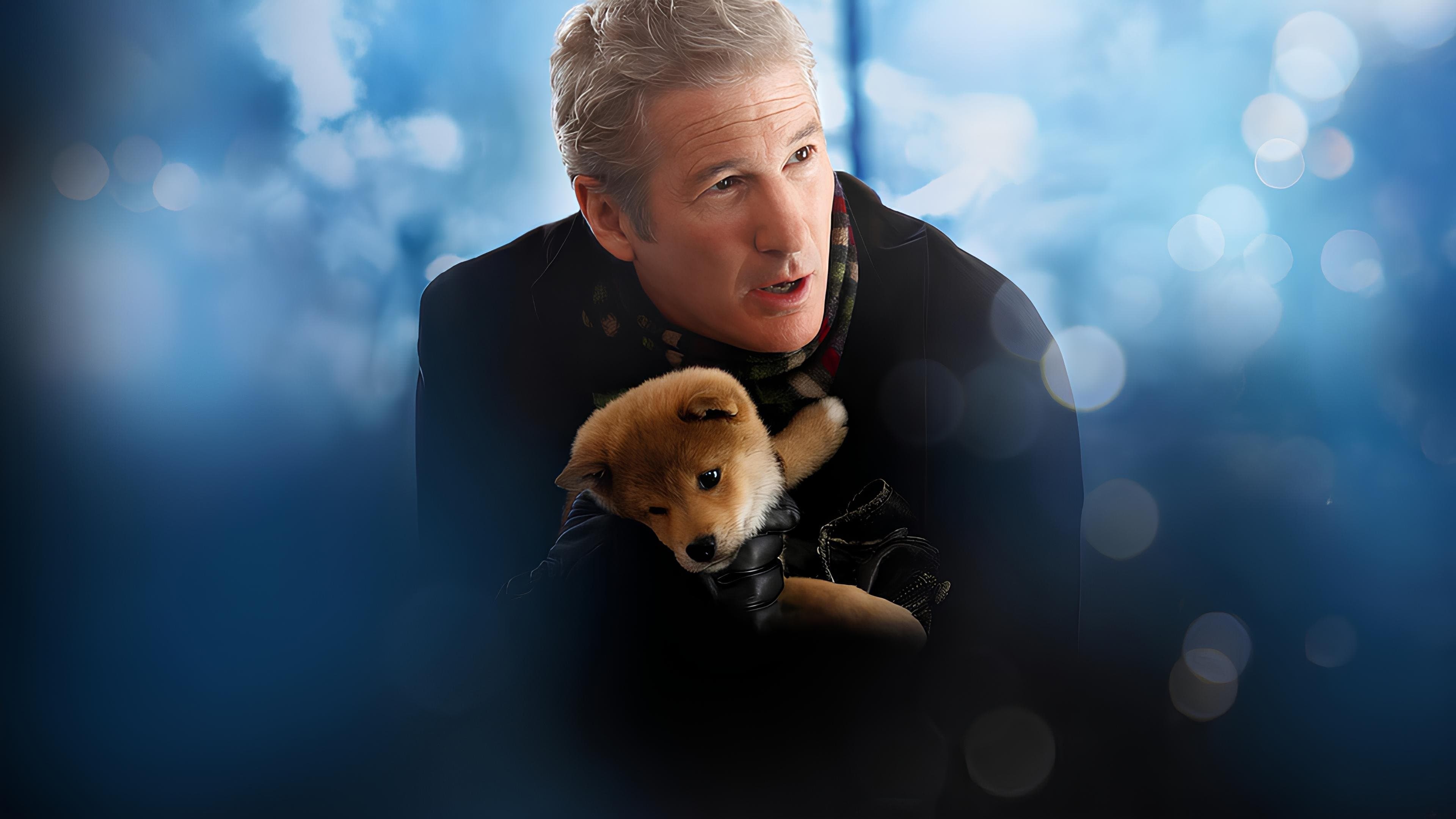 Póster oficial de la película Siempre a tu lado Hachiko en alta calidad HD 4K