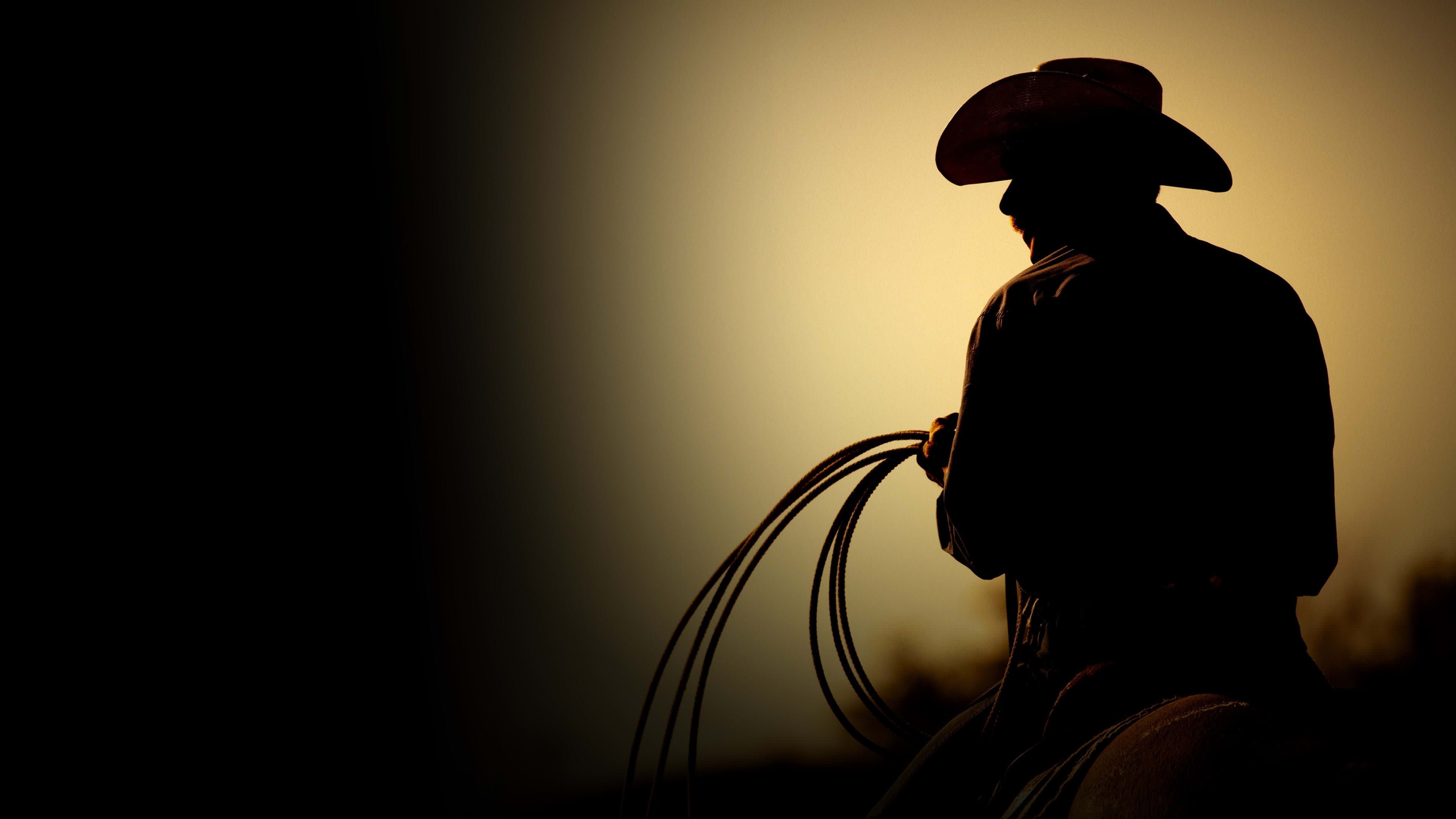Póster oficial de la película The Last Rodeo en alta calidad HD 4K