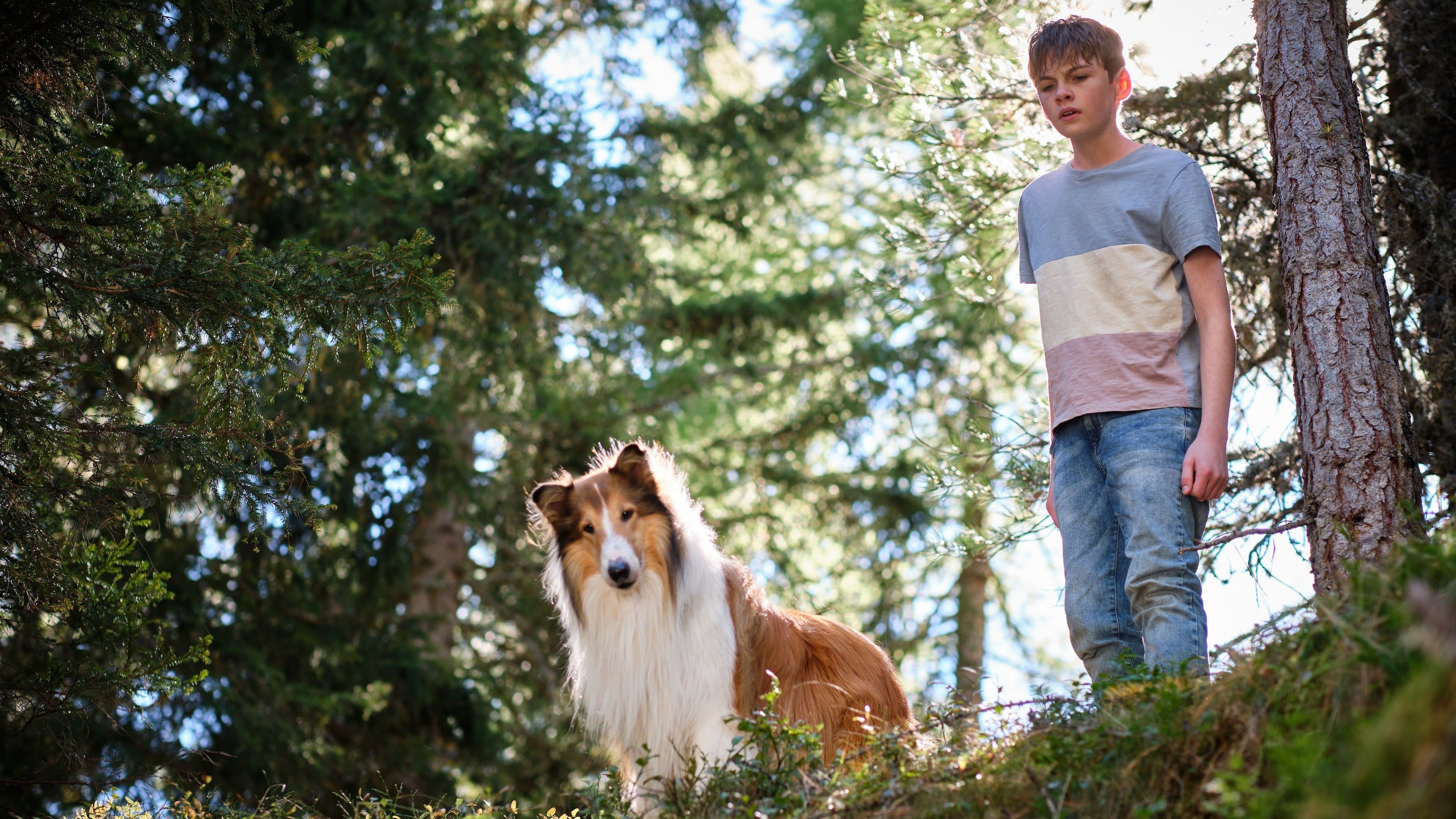 Póster oficial de la película Lassie (Una nueva aventura) en alta calidad HD 4K