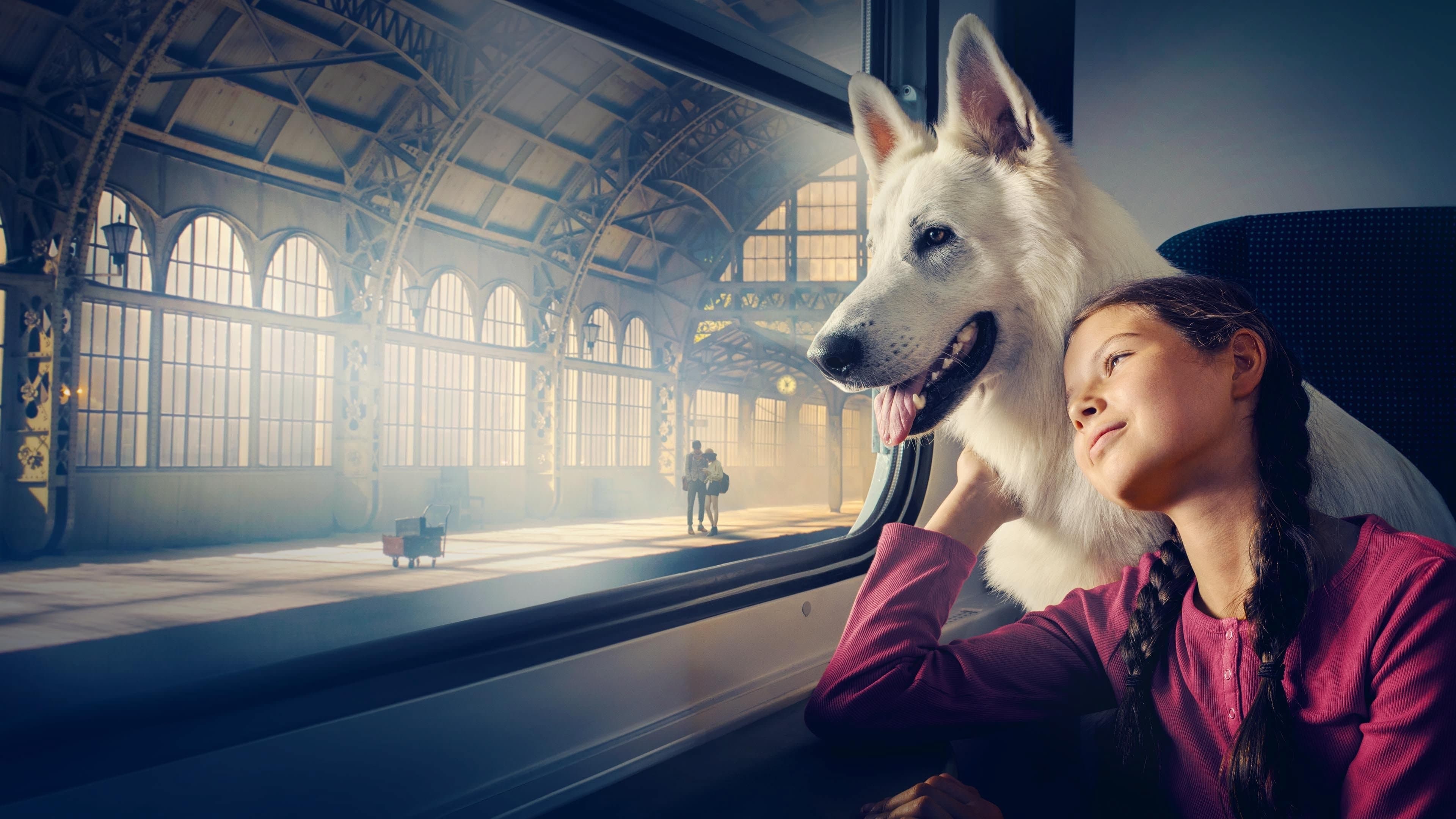 Póster oficial de la película Lampo, el perro viajero en alta calidad HD 4K