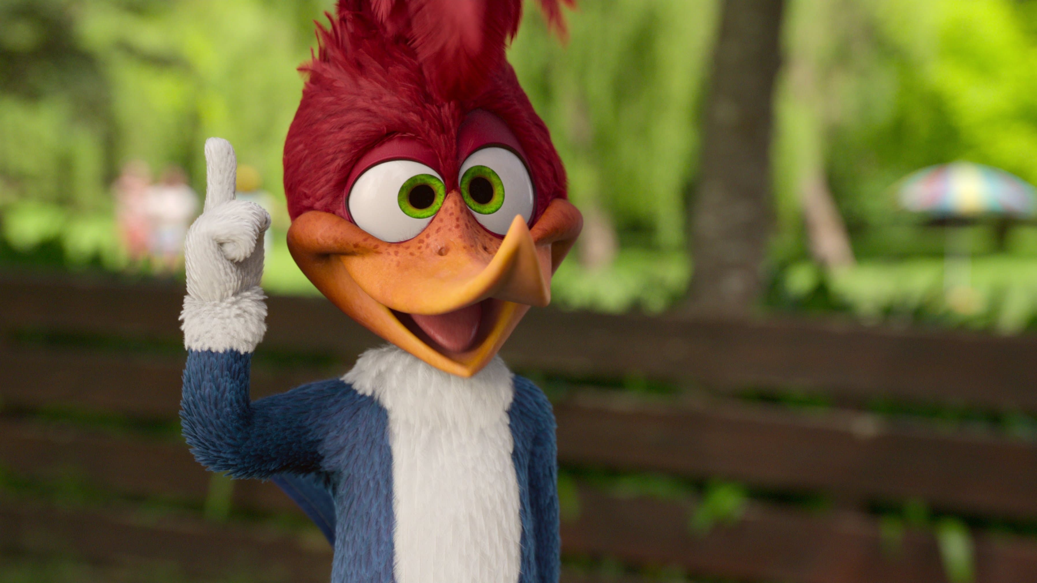 Póster oficial de la película El Pájaro Loco se va de campamento en alta calidad HD 4K