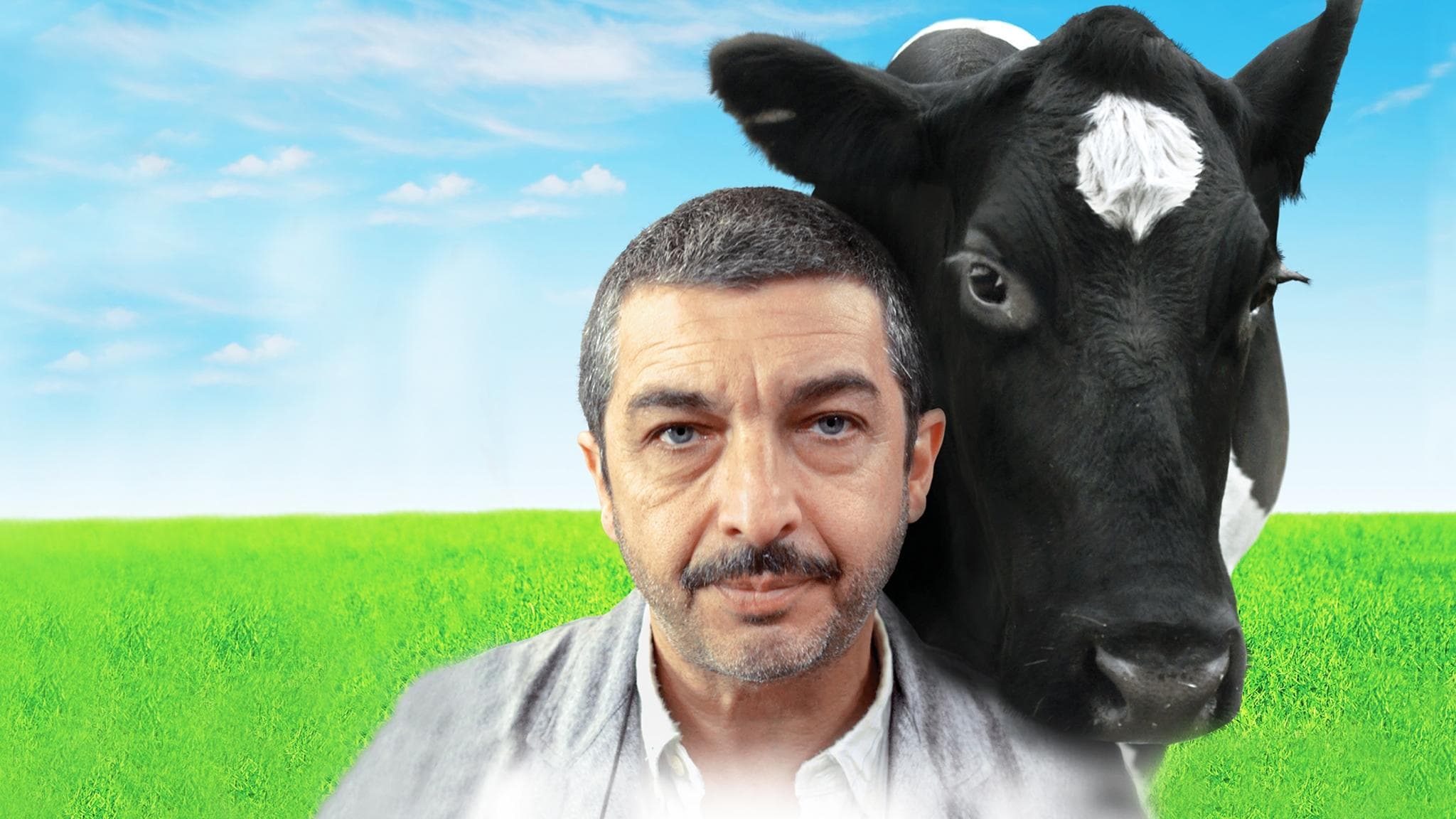 Póster oficial de la película Un cuento chino en alta calidad HD 4K