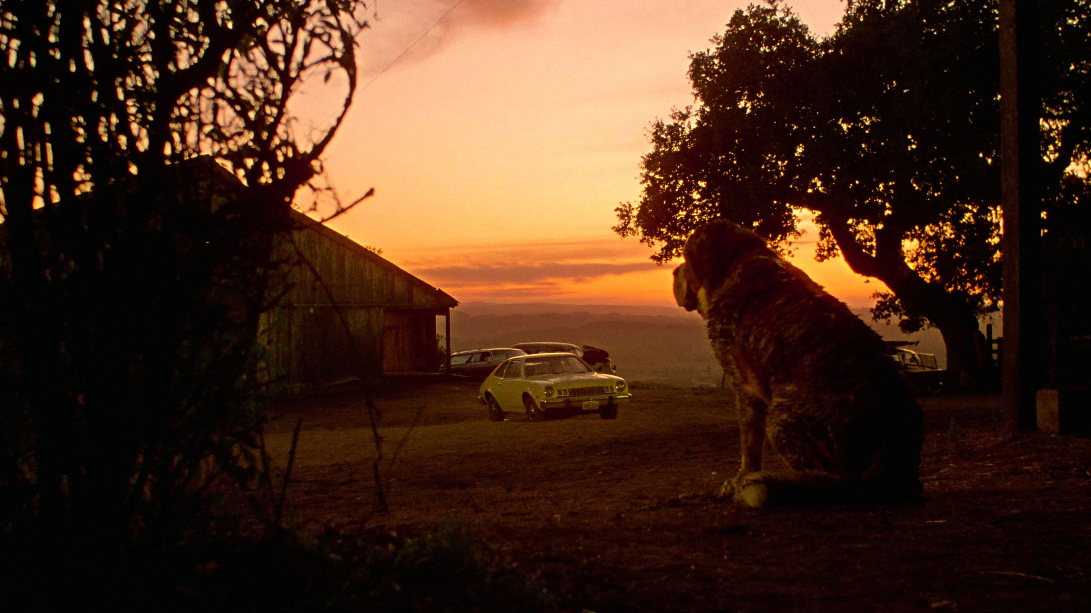 Póster oficial de la película Cujo en alta calidad HD 4K