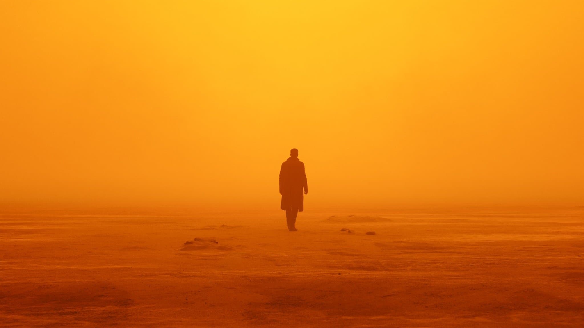 Póster oficial de la película Blade Runner 2049 en alta calidad HD 4K