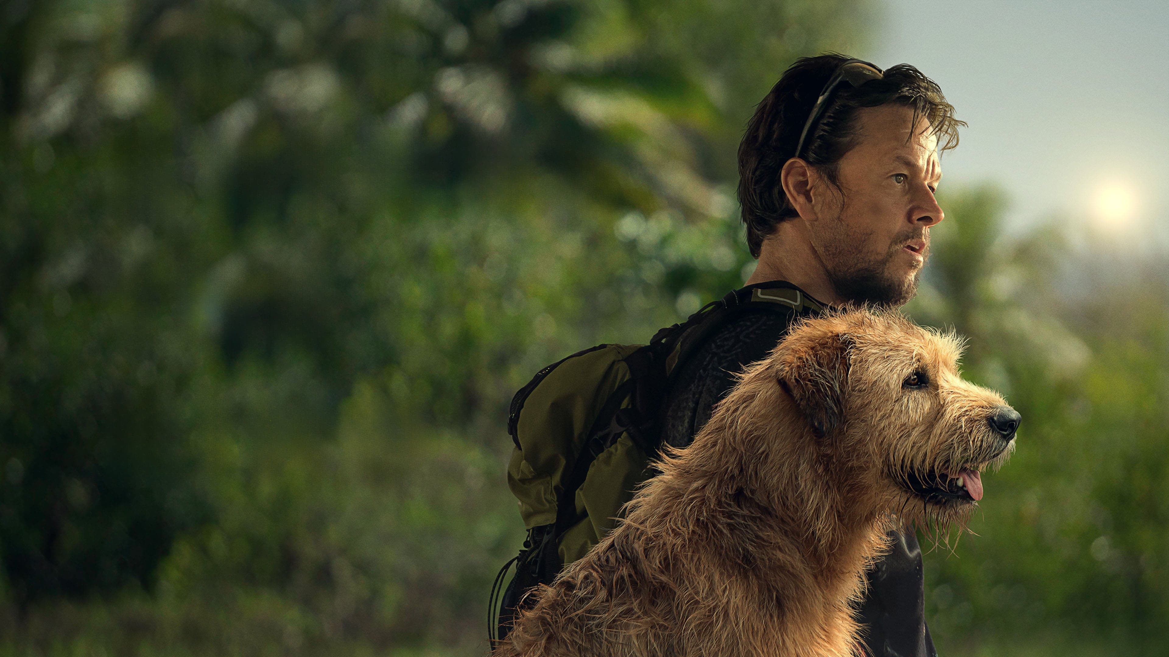 Póster oficial de la película Arthur: Una amistad sin límites en alta calidad HD 4K