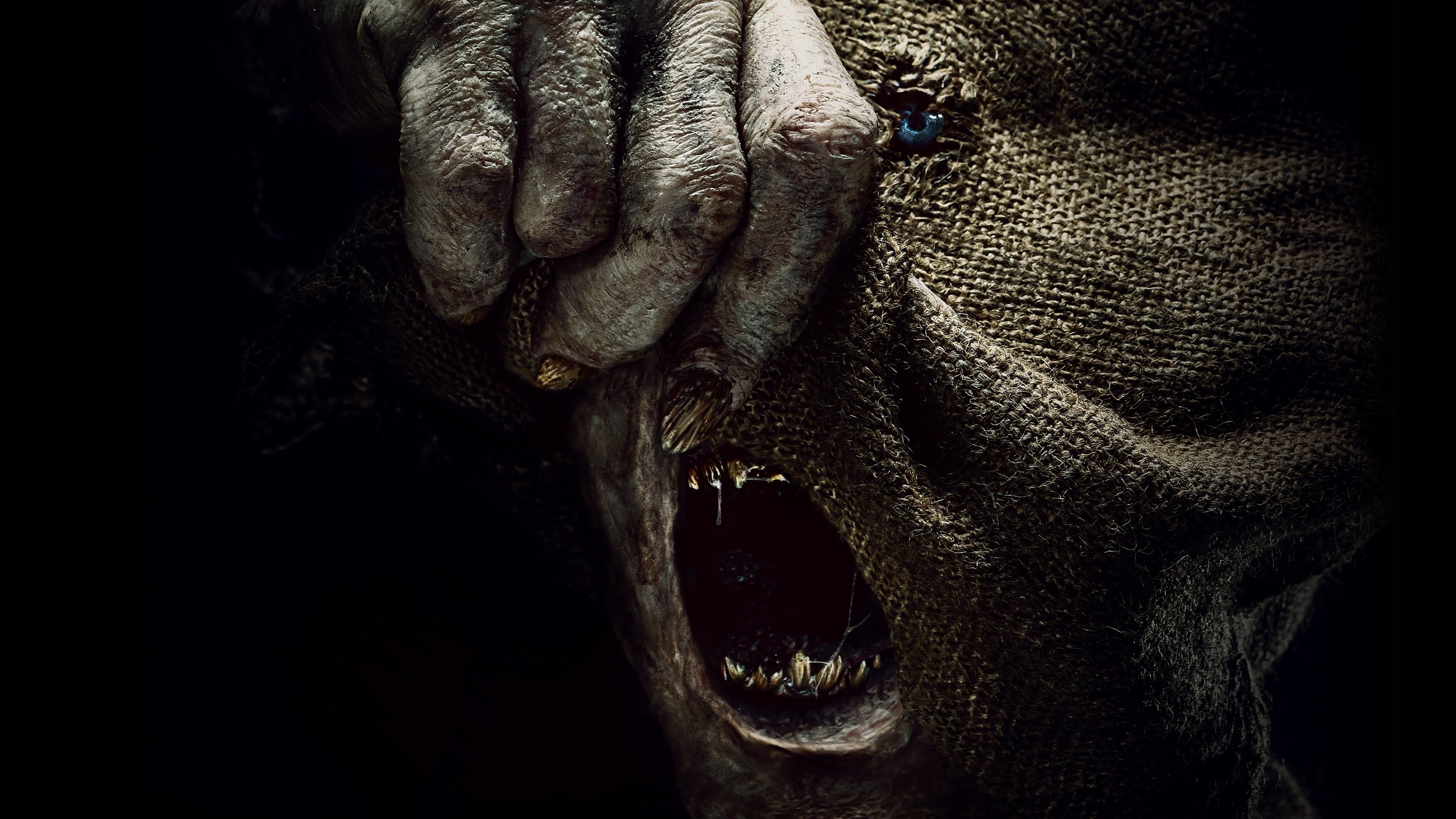 Póster oficial de la película Baghead: Contacto con la muerte en alta calidad HD 4K