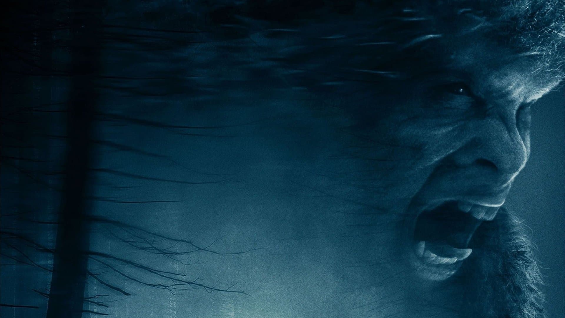Póster oficial de la película Terror en el bosque en alta calidad HD 4K