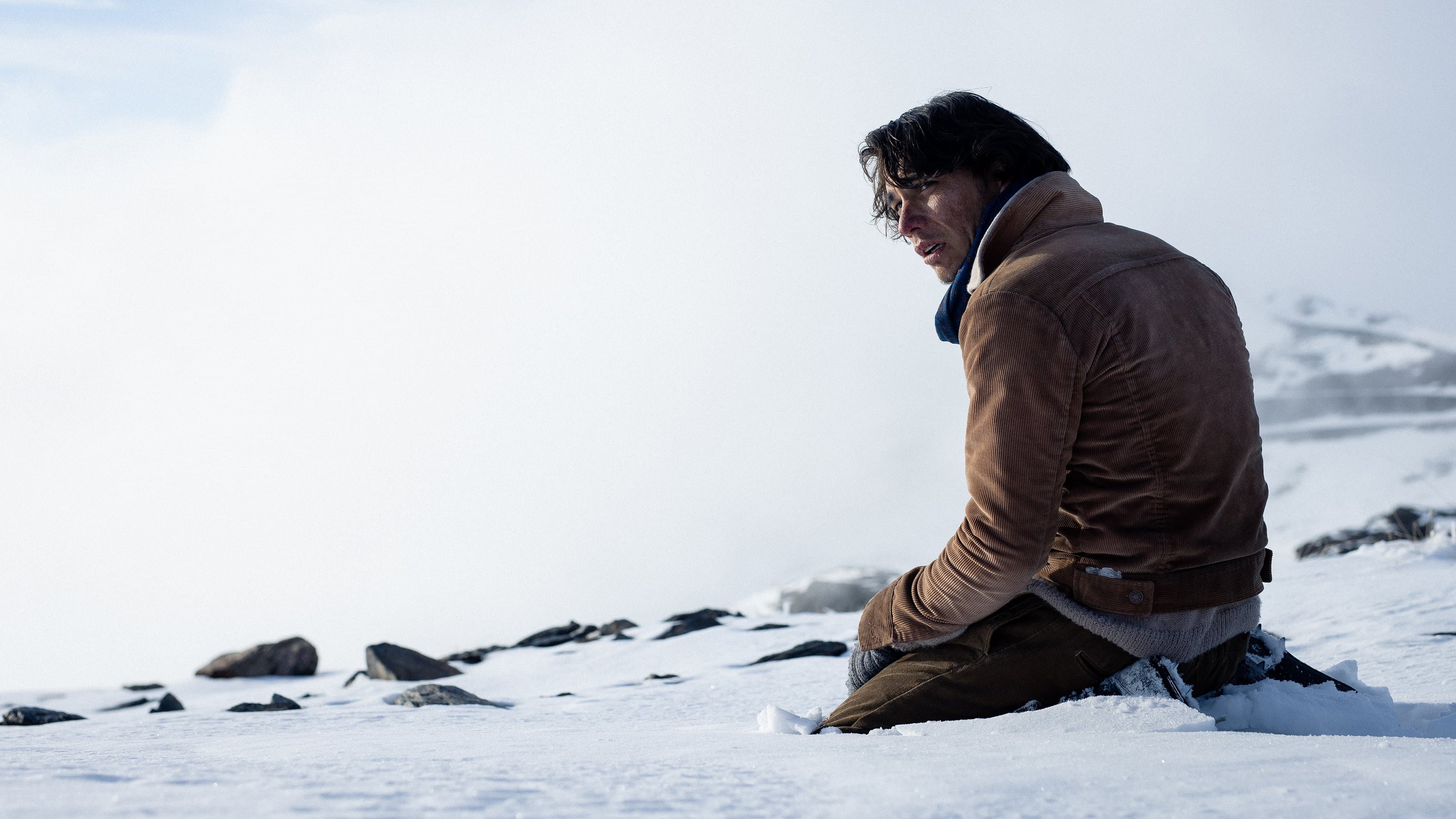 Póster oficial de la película La sociedad de la nieve en alta calidad HD 4K