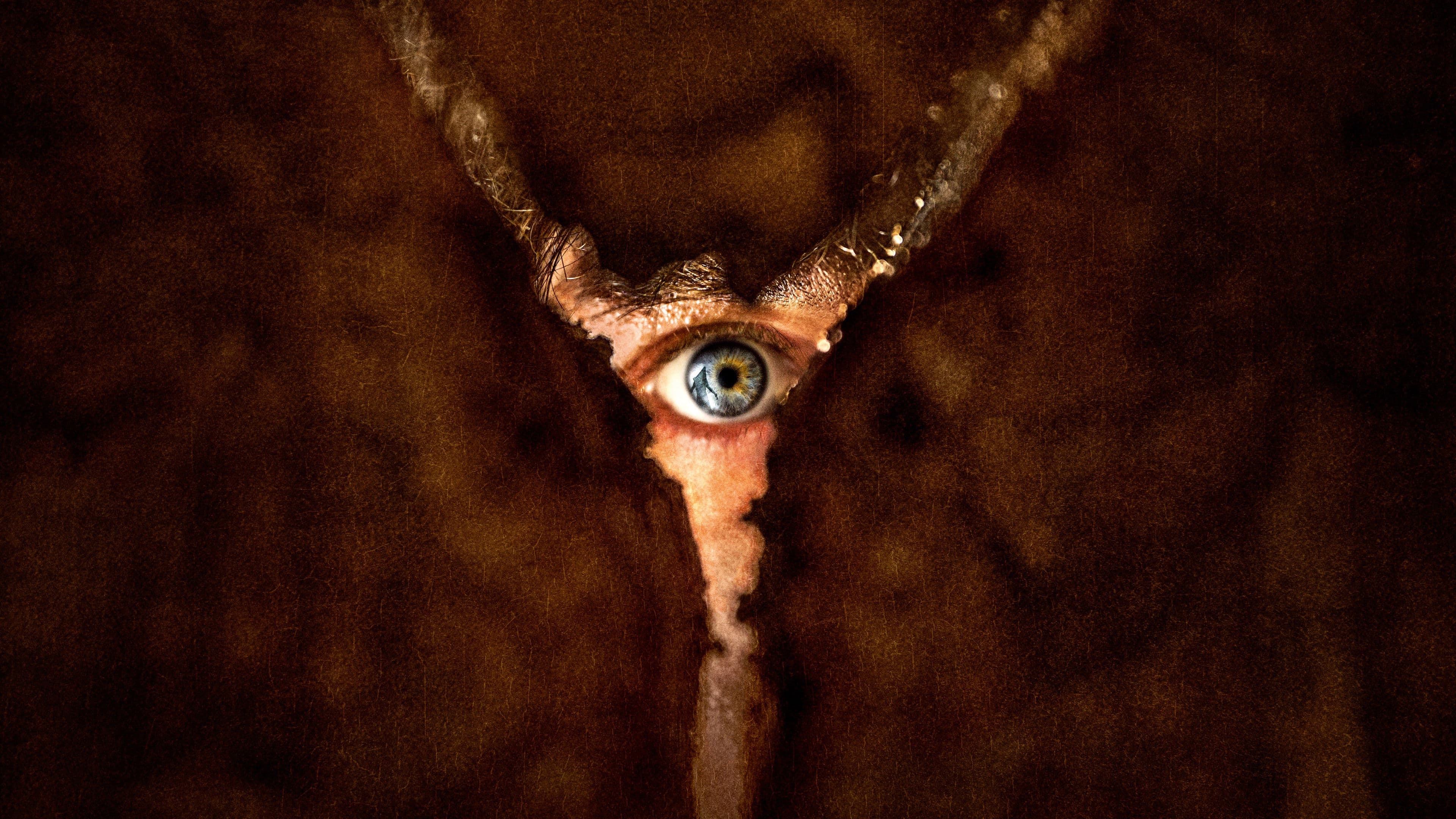 Póster oficial de la película Terror en Silent Hill: Regreso al infierno en alta calidad HD 4K