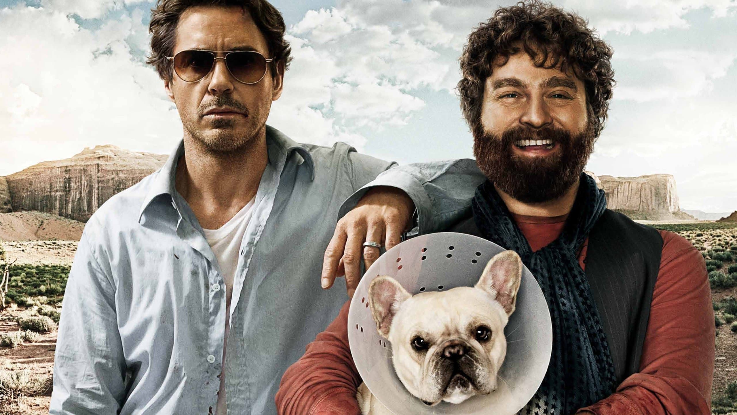 Póster oficial de la película Todo un parto en alta calidad HD 4K