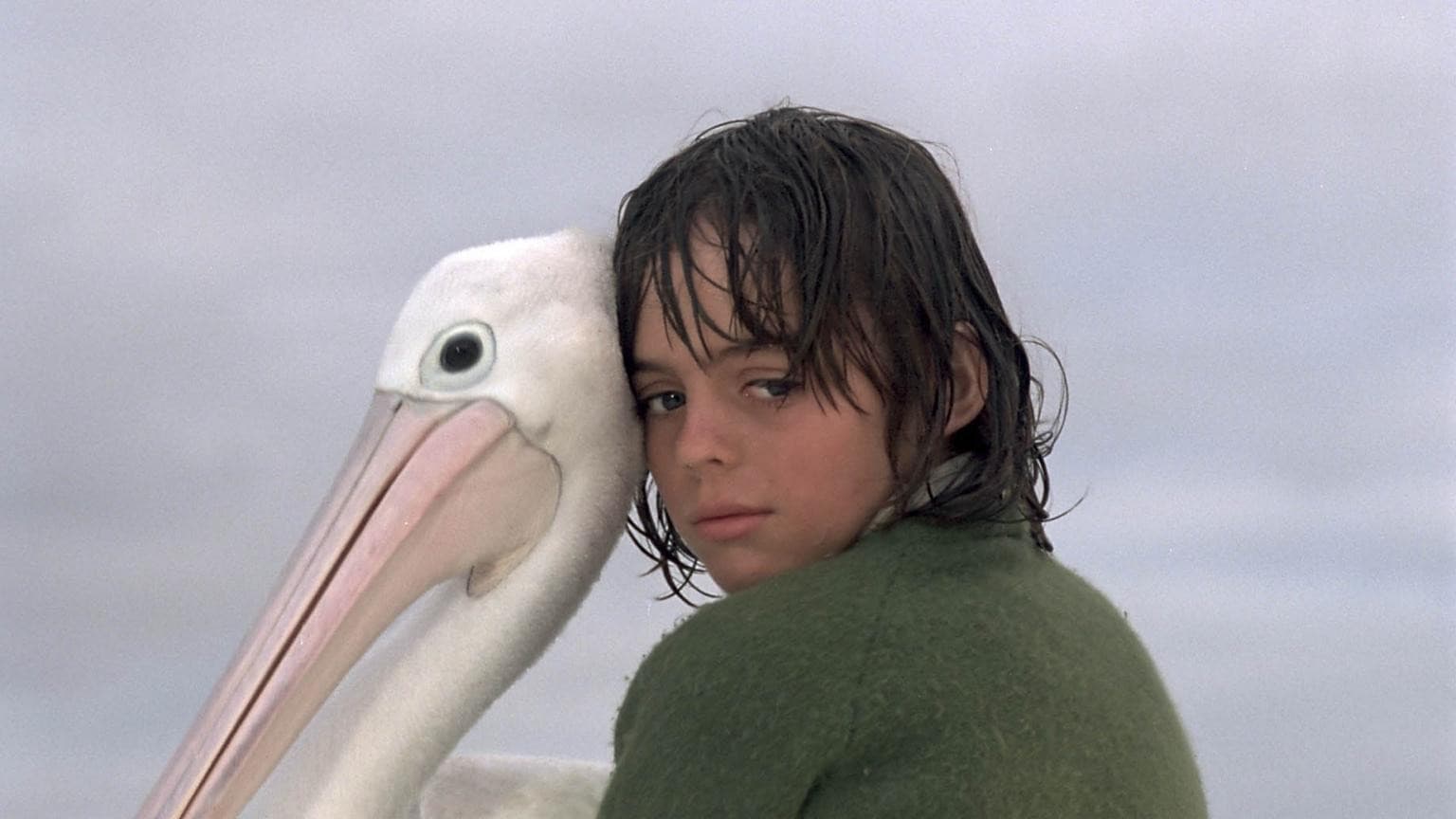 Póster oficial de la película Amigos para siempre en alta calidad HD 4K