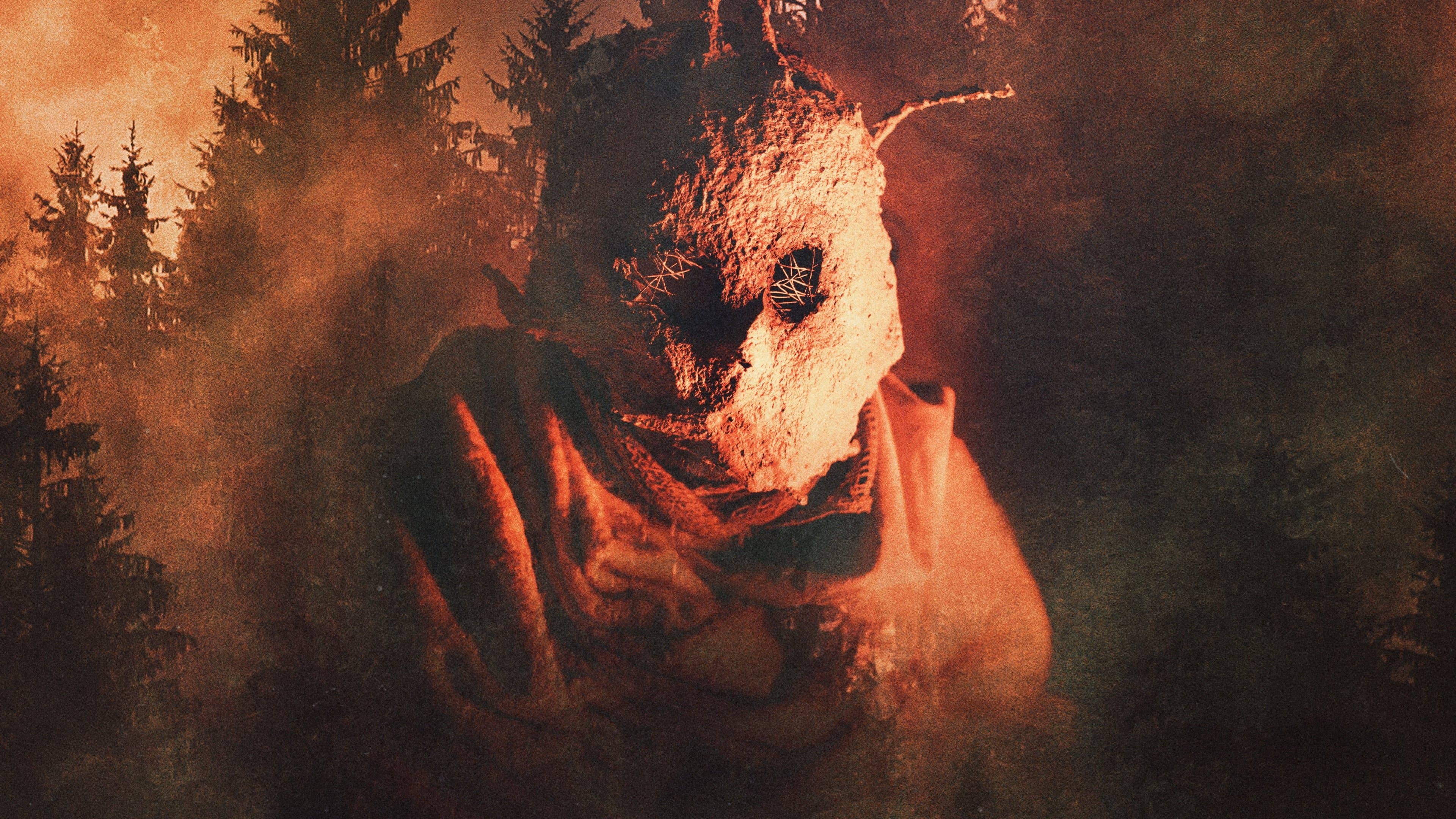 Póster oficial de la película Misterio en la Costa Norte en alta calidad HD 4K