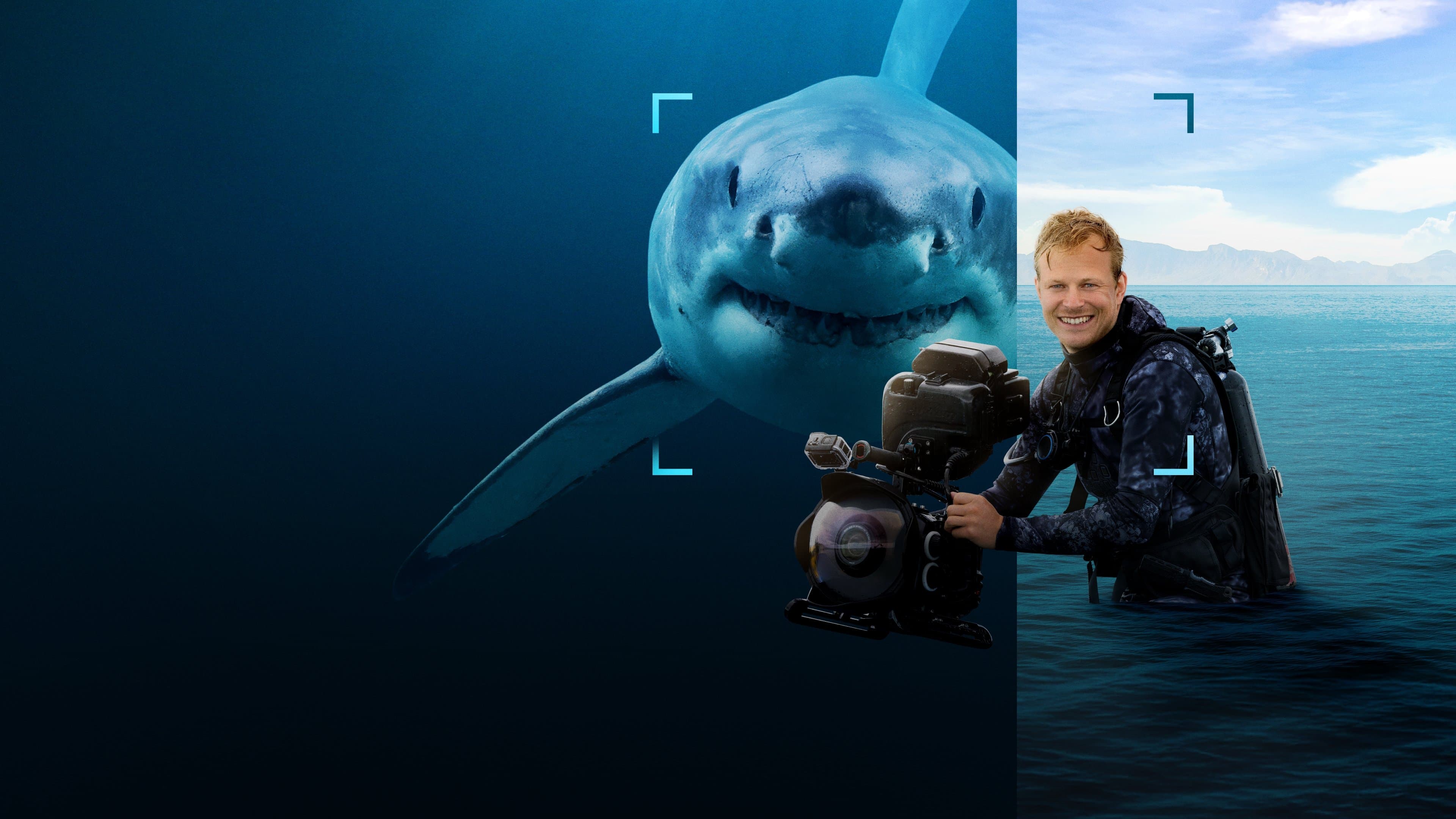 Póster oficial de la película Tiburones de cerca con Bertie Gregory en alta calidad HD 4K