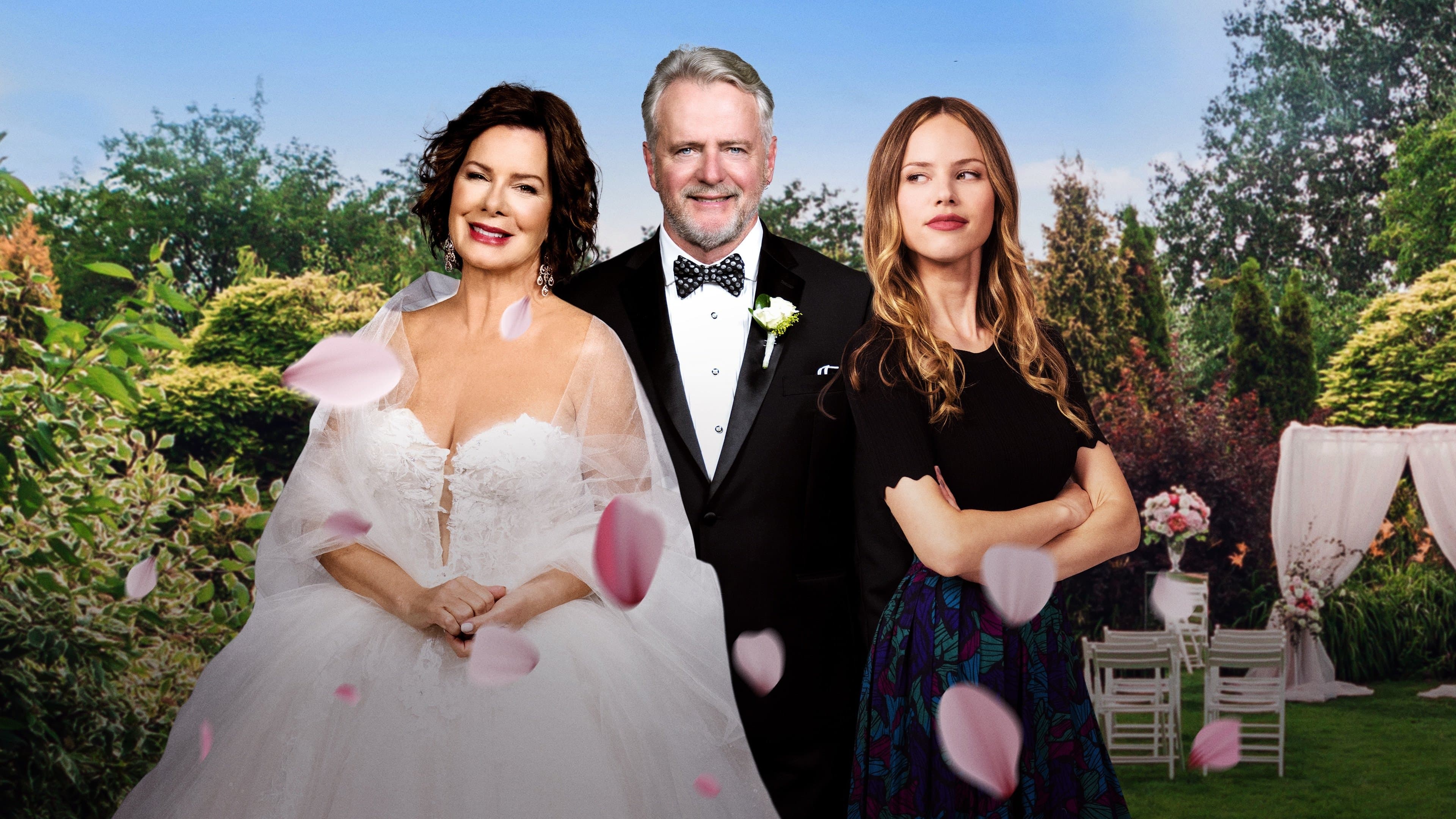 Póster oficial de la película La hija de la novia en alta calidad HD 4K