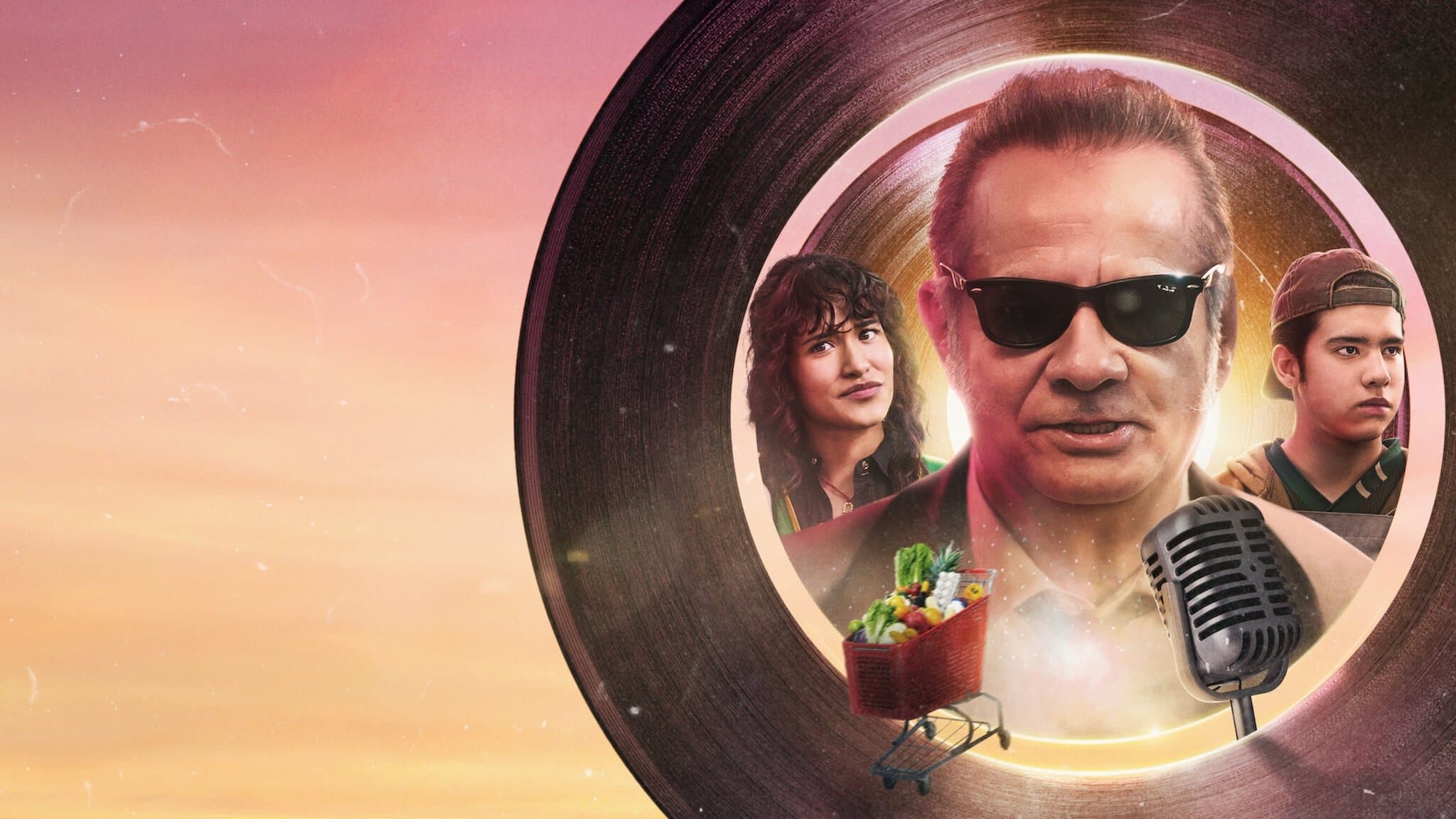 Póster oficial de la película ¿Encontró lo que buscaba? en alta calidad HD 4K