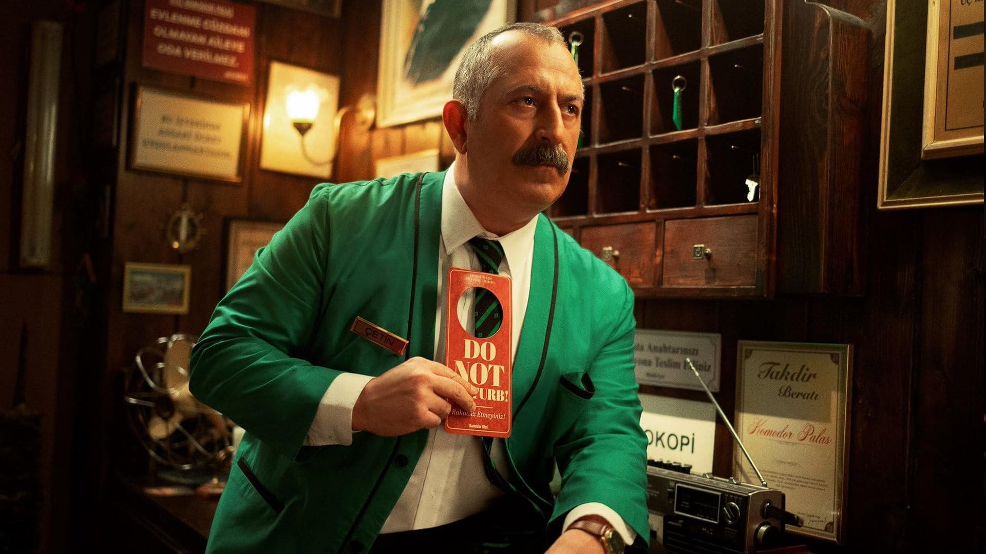 Póster oficial de la película No molestar en alta calidad HD 4K