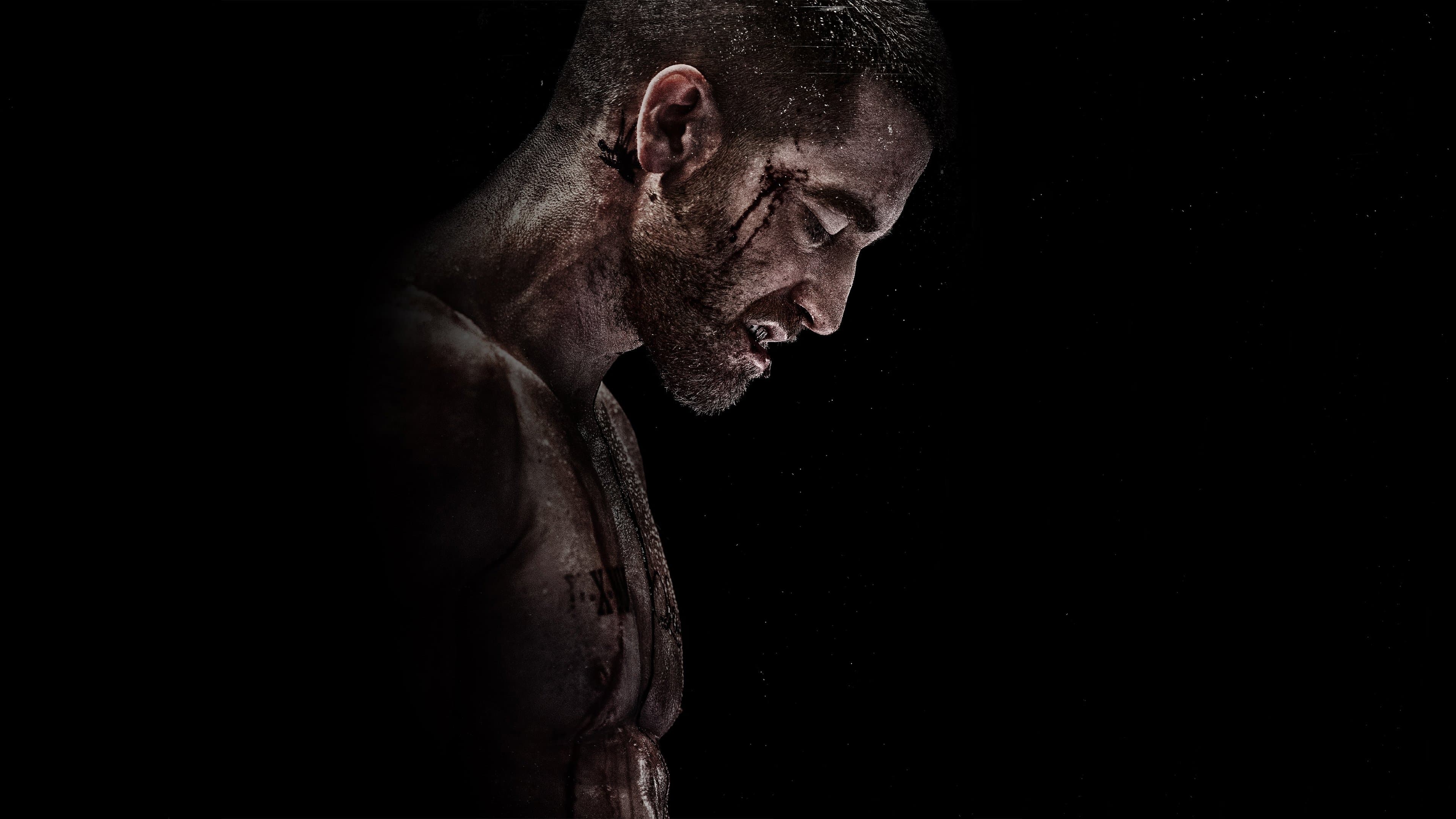 Póster oficial de la película Revancha en alta calidad HD 4K