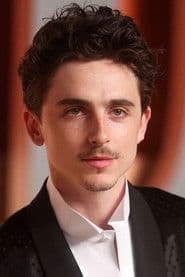 Foto del actor Timothée Chalamet