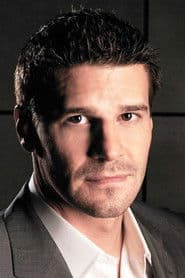 Foto del actor David Boreanaz