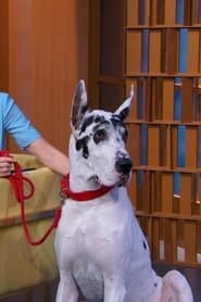 Foto del actor Bing