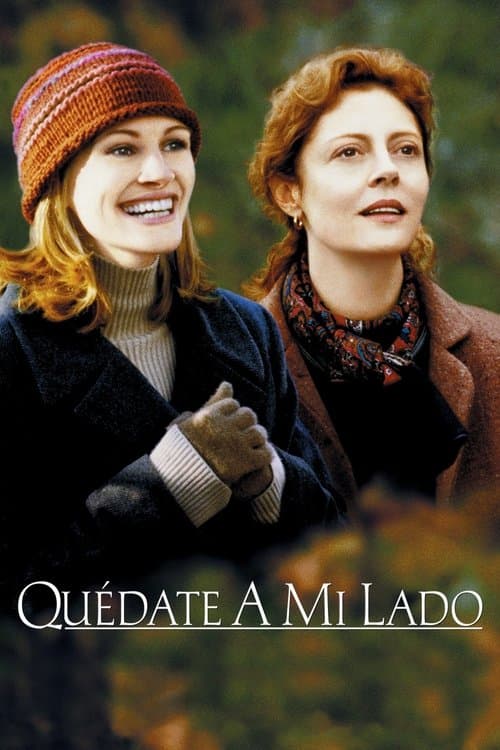 Póster oficial de la película Quédate a mi lado en alta calidad HD 4K