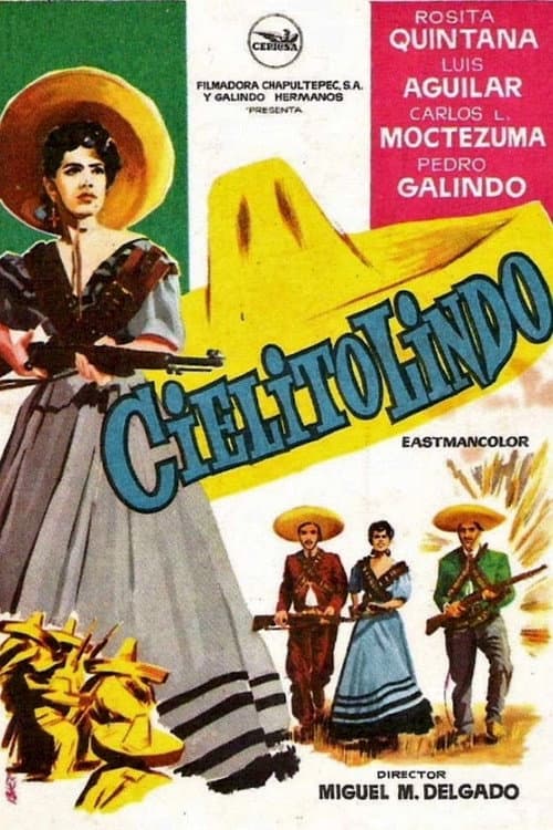 Póster oficial de la película Cielito lindo en alta calidad HD 4K