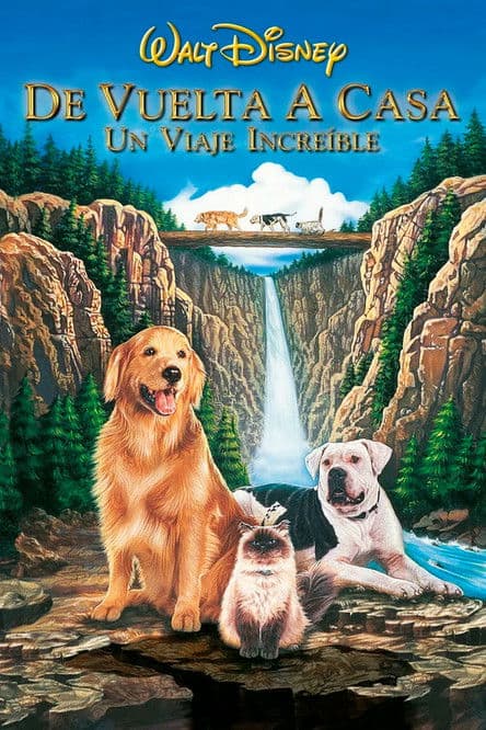 Un Viaje Increíble