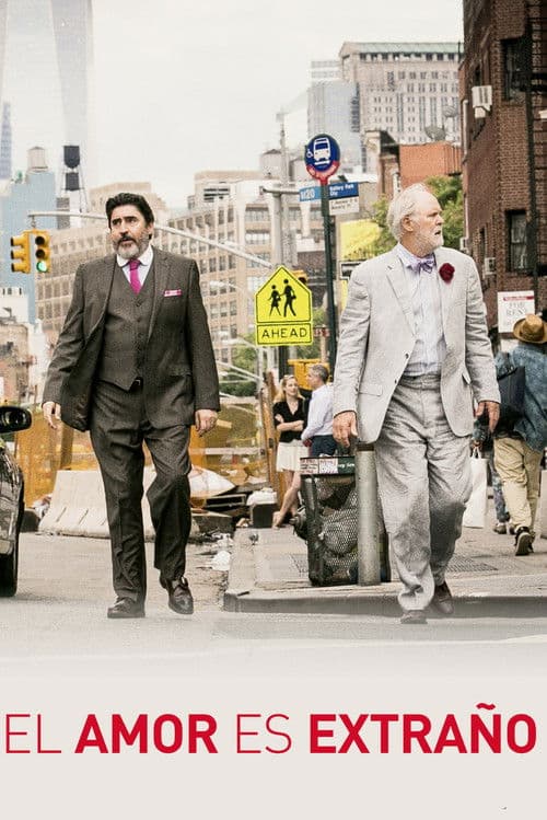 Póster oficial de la película El amor es extraño en alta calidad HD 4K