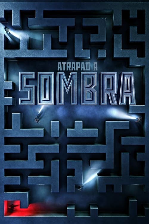 Póster oficial de la película Atrapad a Sombra en alta calidad HD 4K