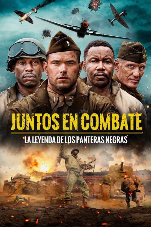 Póster oficial de la película Juntos en combate en alta calidad HD 4K