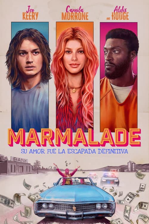 Póster oficial de la película Cómplice en fuga en alta calidad HD 4K