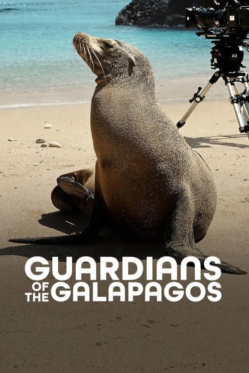 Los leones marinos de las Galápagos