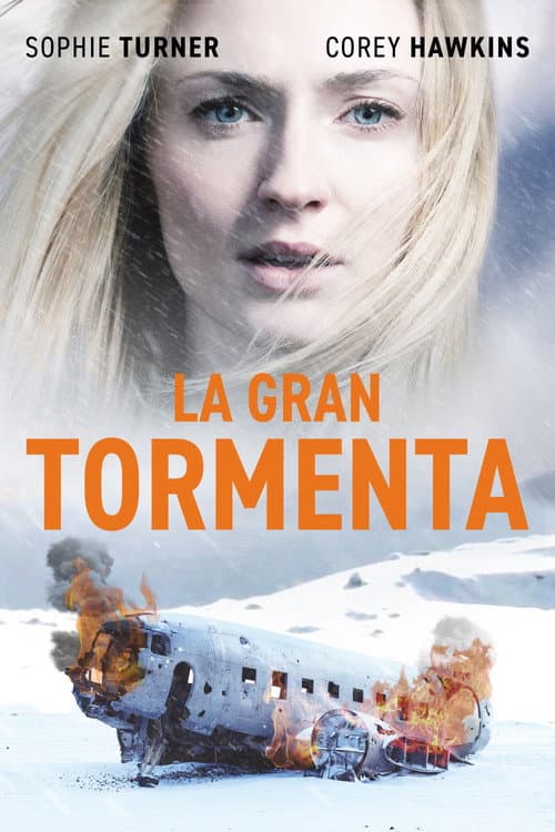 Póster oficial de la película Survive en alta calidad HD 4K