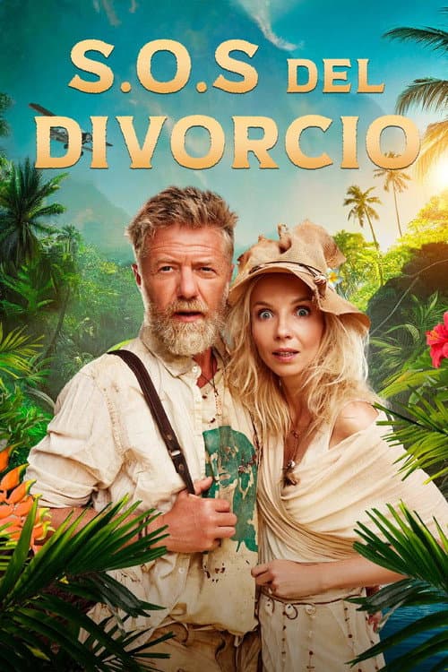 Póster oficial de la película S.O.S del Divorcio en alta calidad HD 4K