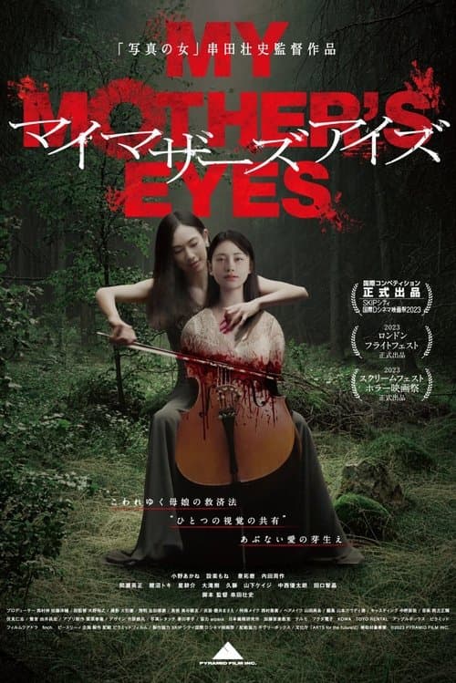 Póster oficial de la película Los ojos de mi madre en alta calidad HD 4K