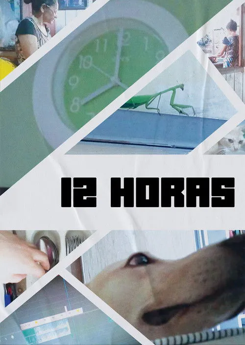 Póster de la película 12 Hours (2022)