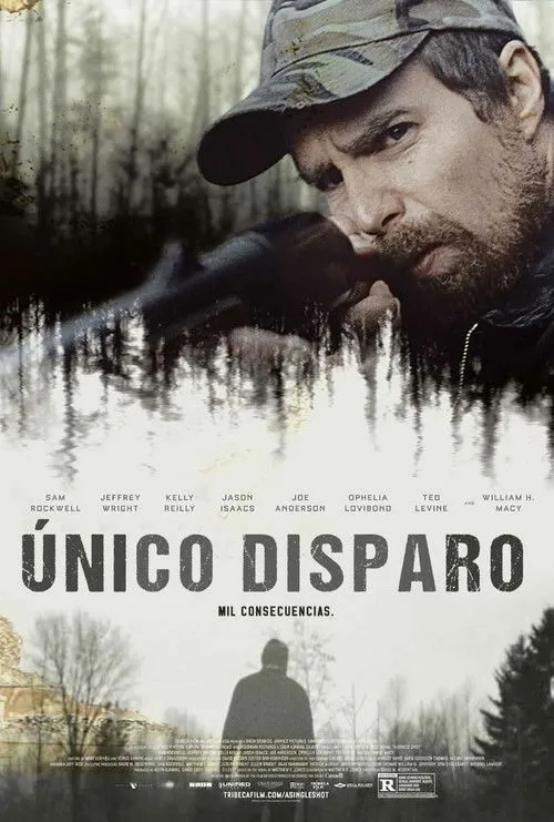 Póster de la película Al primer disparo (2013)