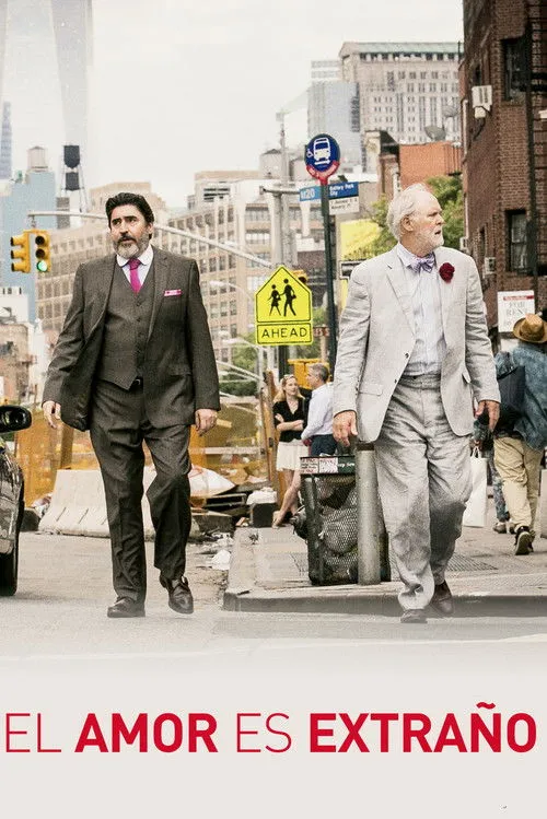 Póster de la película El amor es extraño (2014)