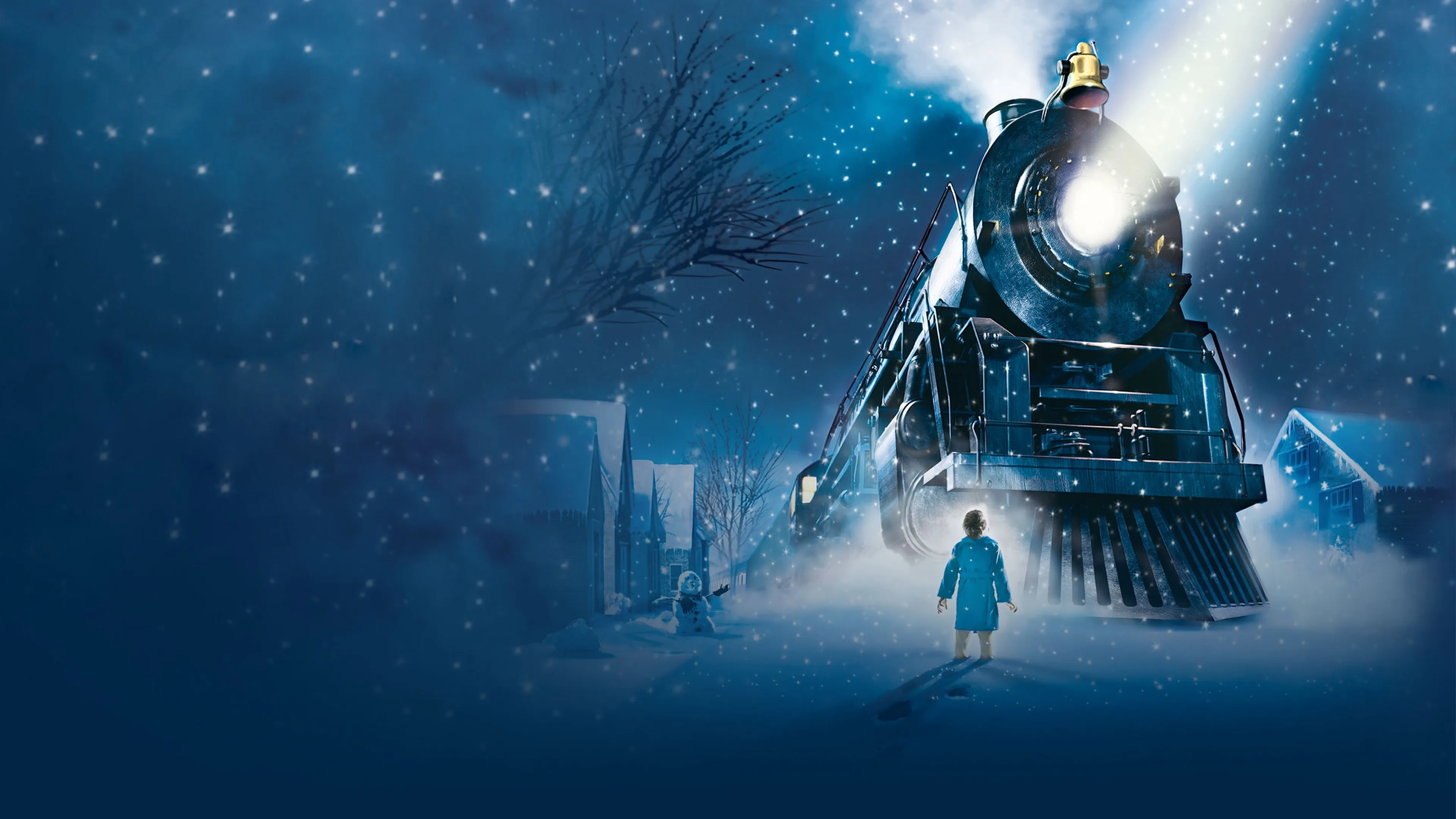 Póster de la película El expreso polar (2004)