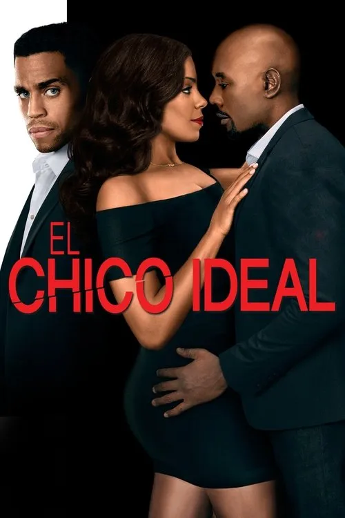 Póster de la película El tipo perfecto (2015)