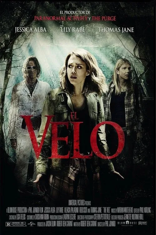 Póster de la película El velo (2016)