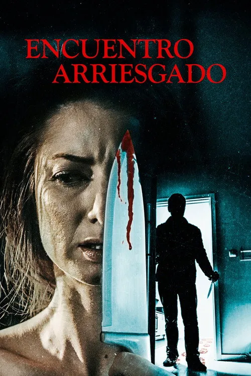 Póster de la película Encuentro Arriesgado (2021)