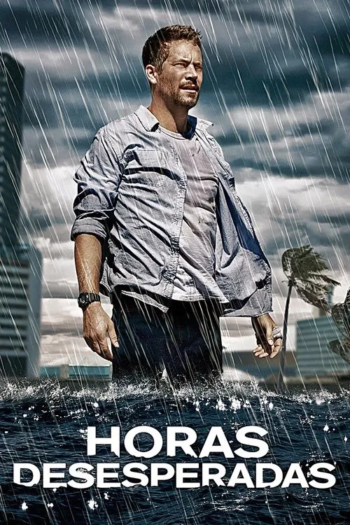 Póster de la película Horas desesperadas (2013)