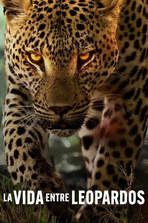 Póster de la película La vida entre leopardos (2024)